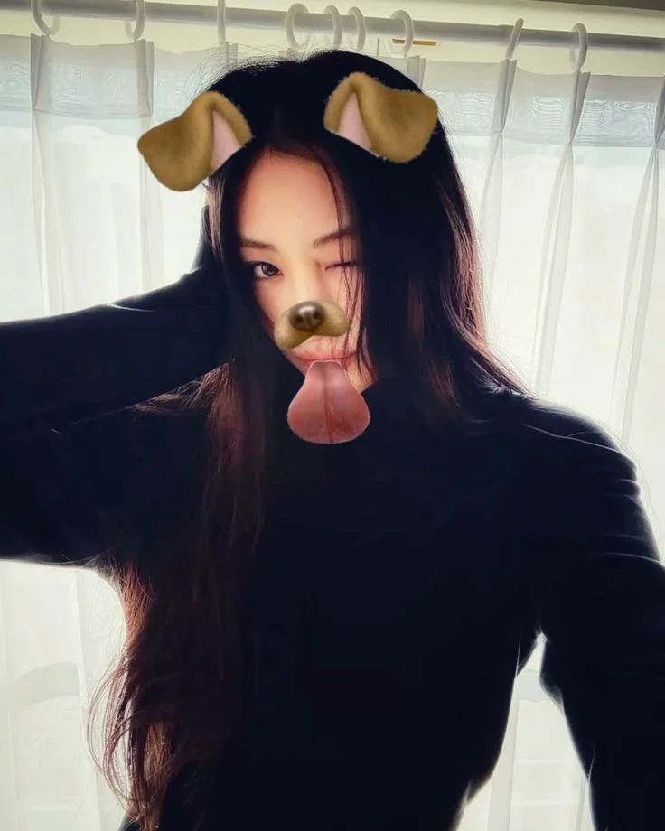 Profil