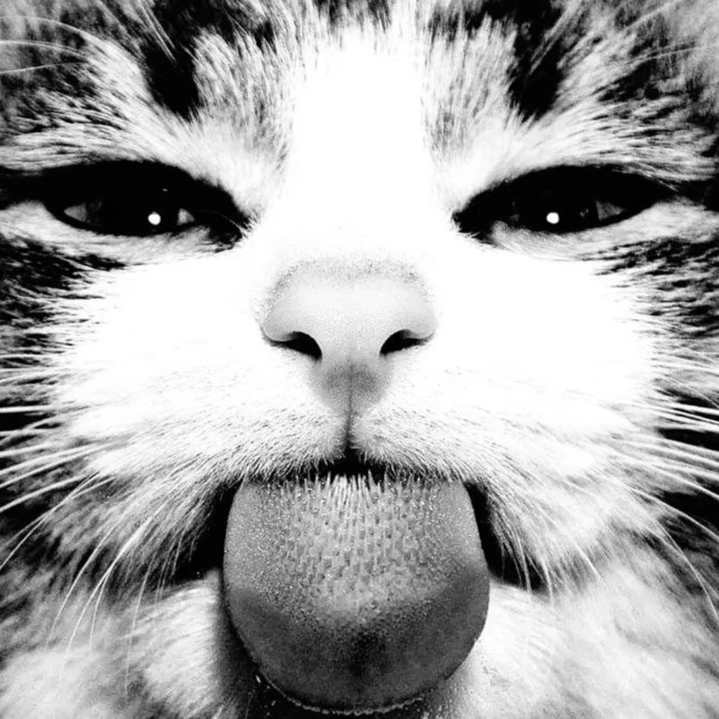 Profil