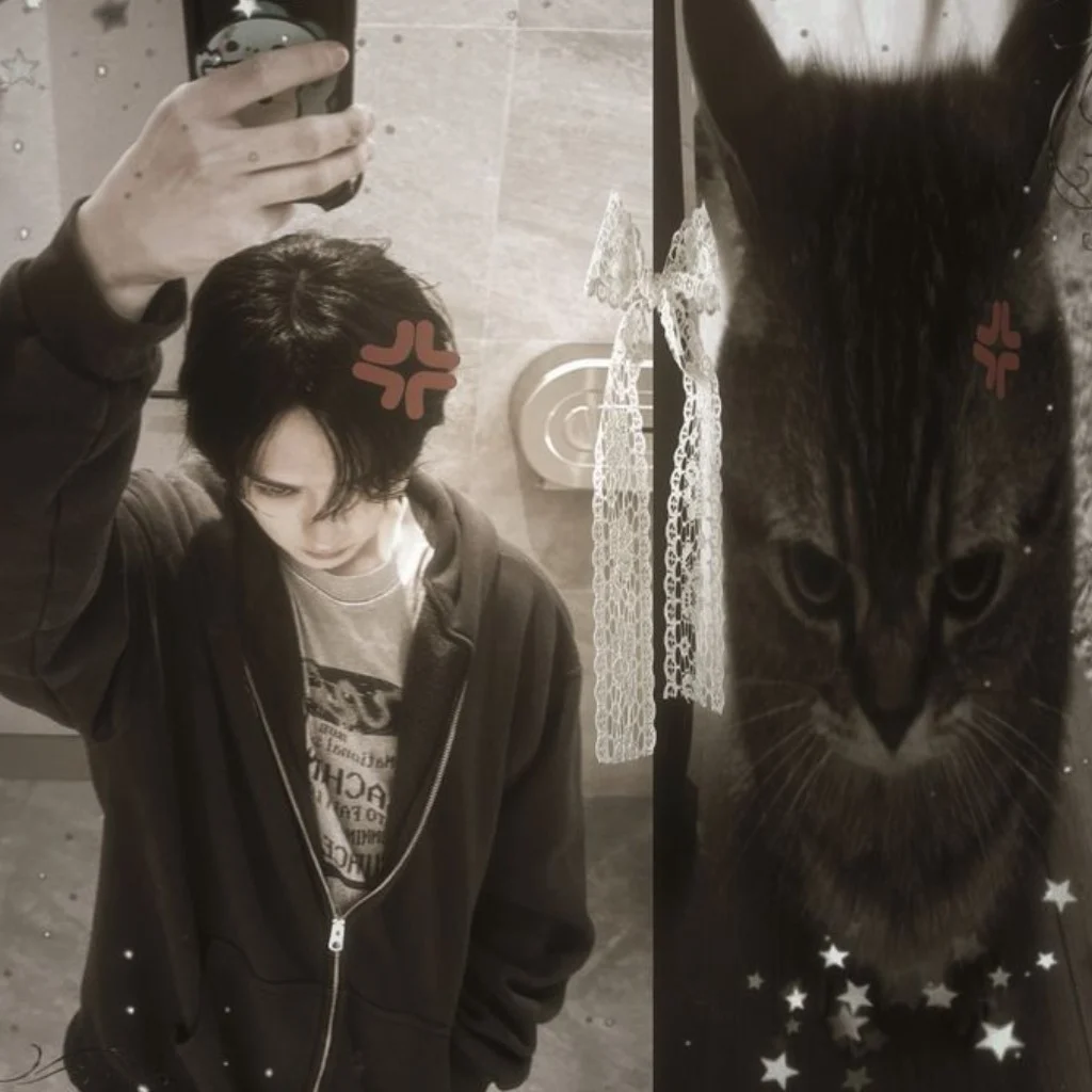 Profil