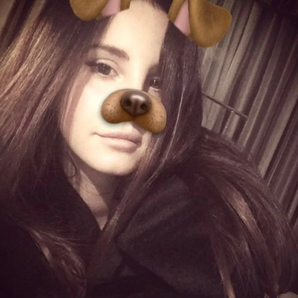 Profil