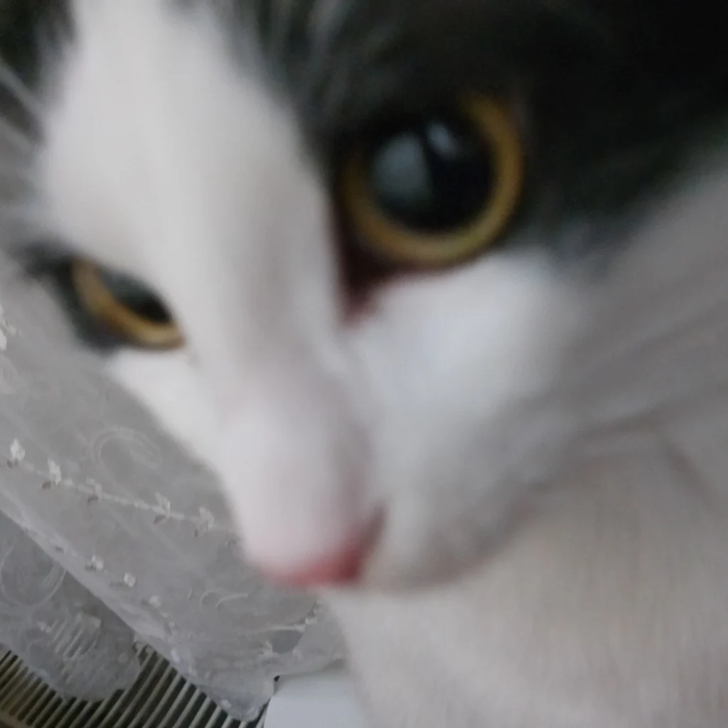 Profil