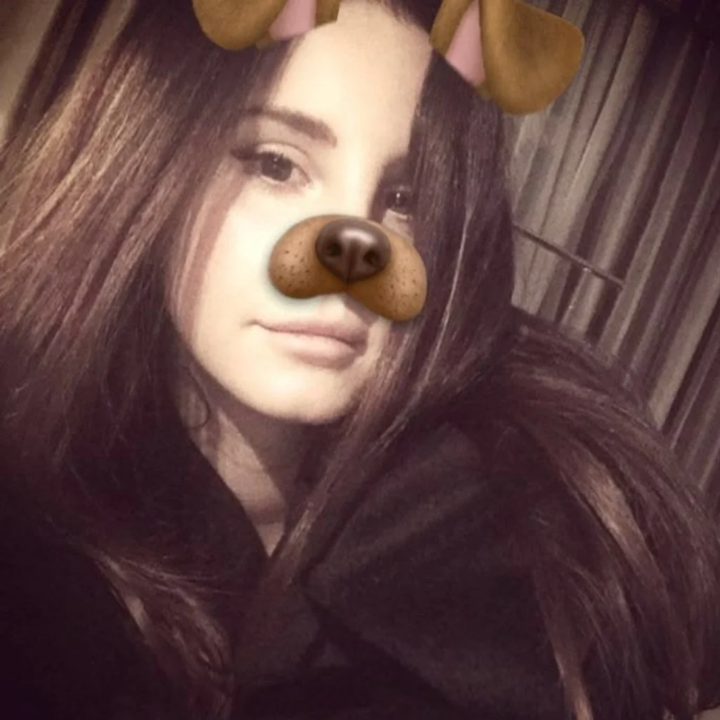 Profil
