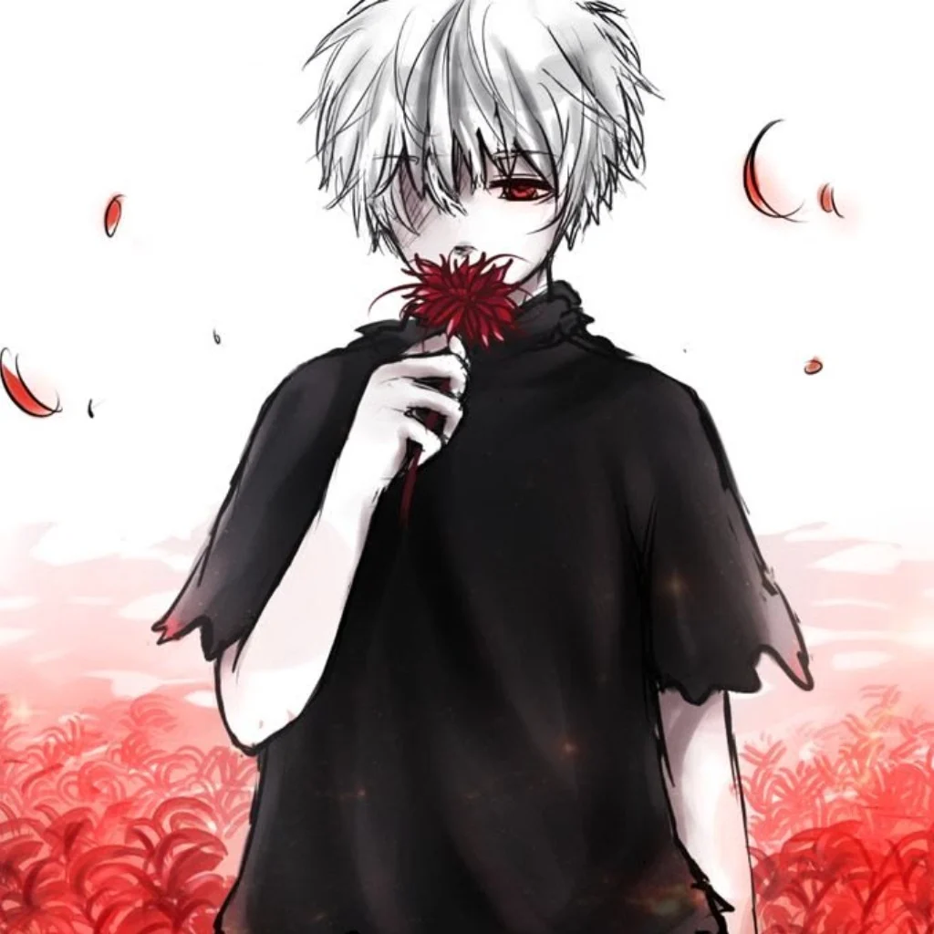 Profil