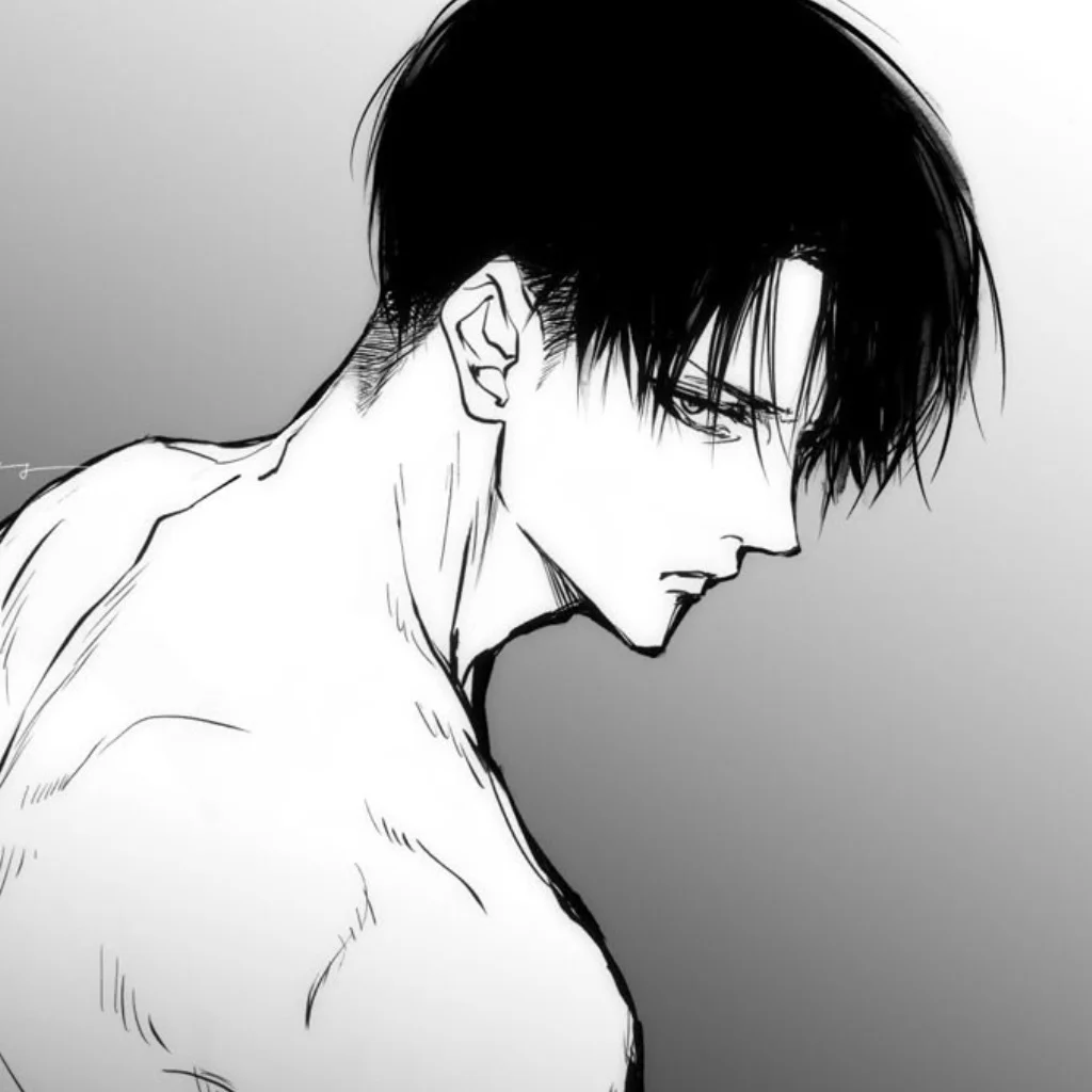 Profil