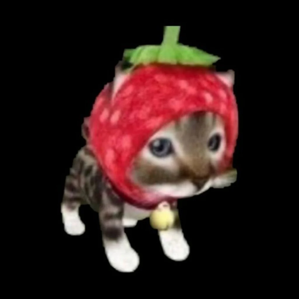 Profil