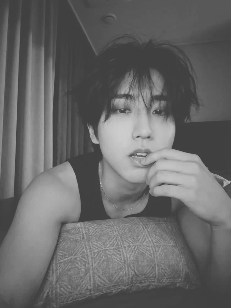 Profil