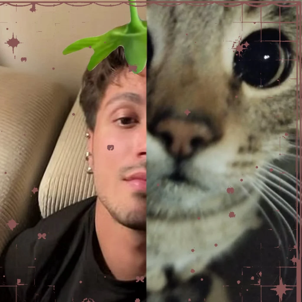 Profil