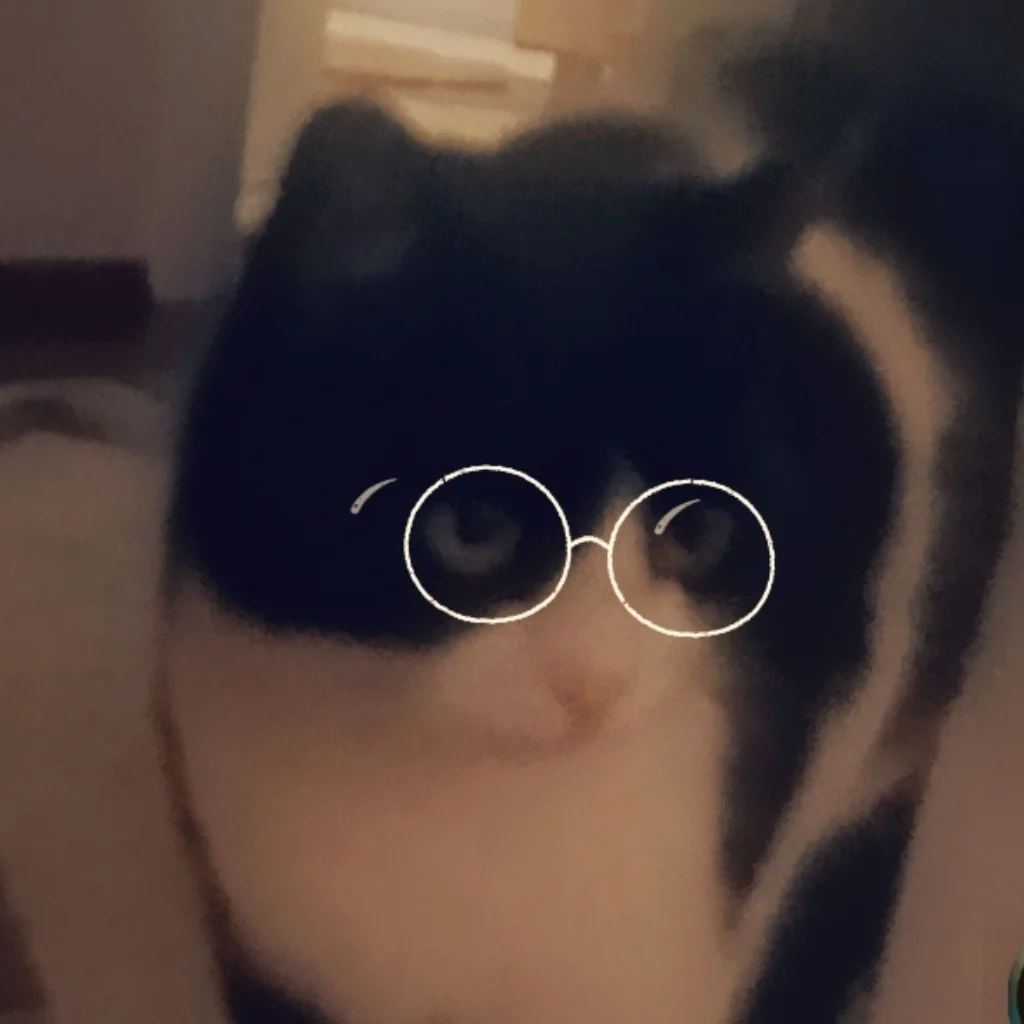 Profil