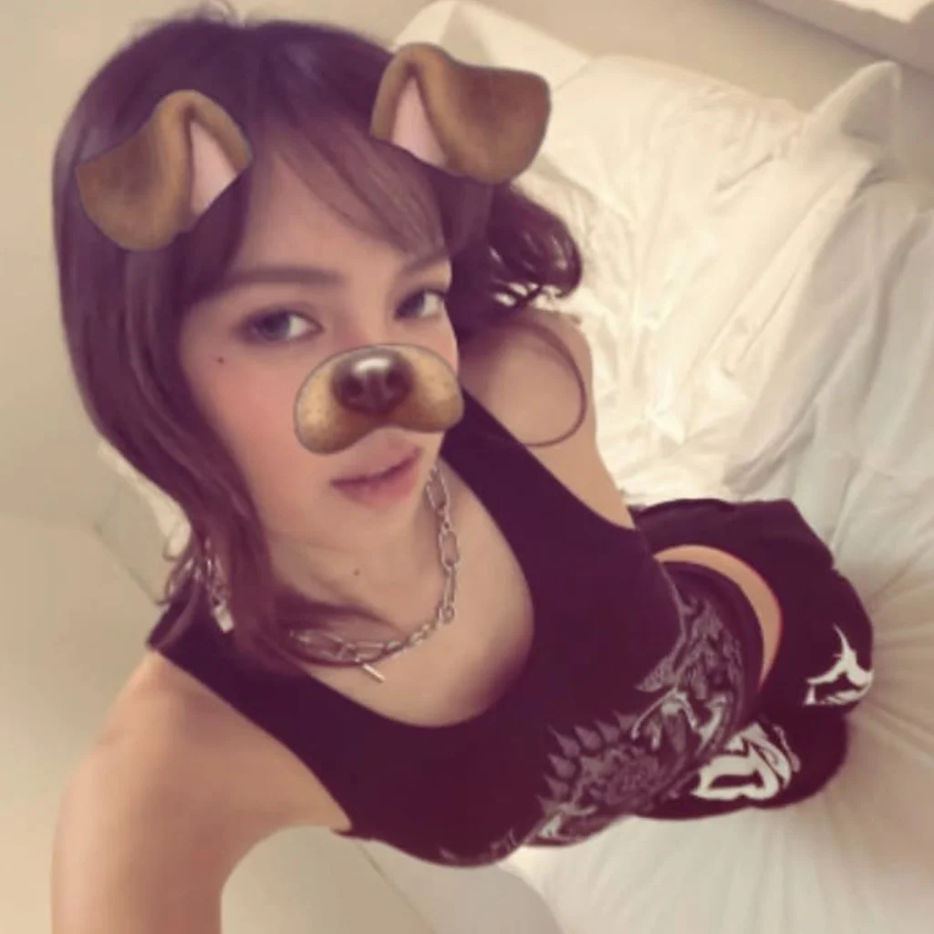 Profil