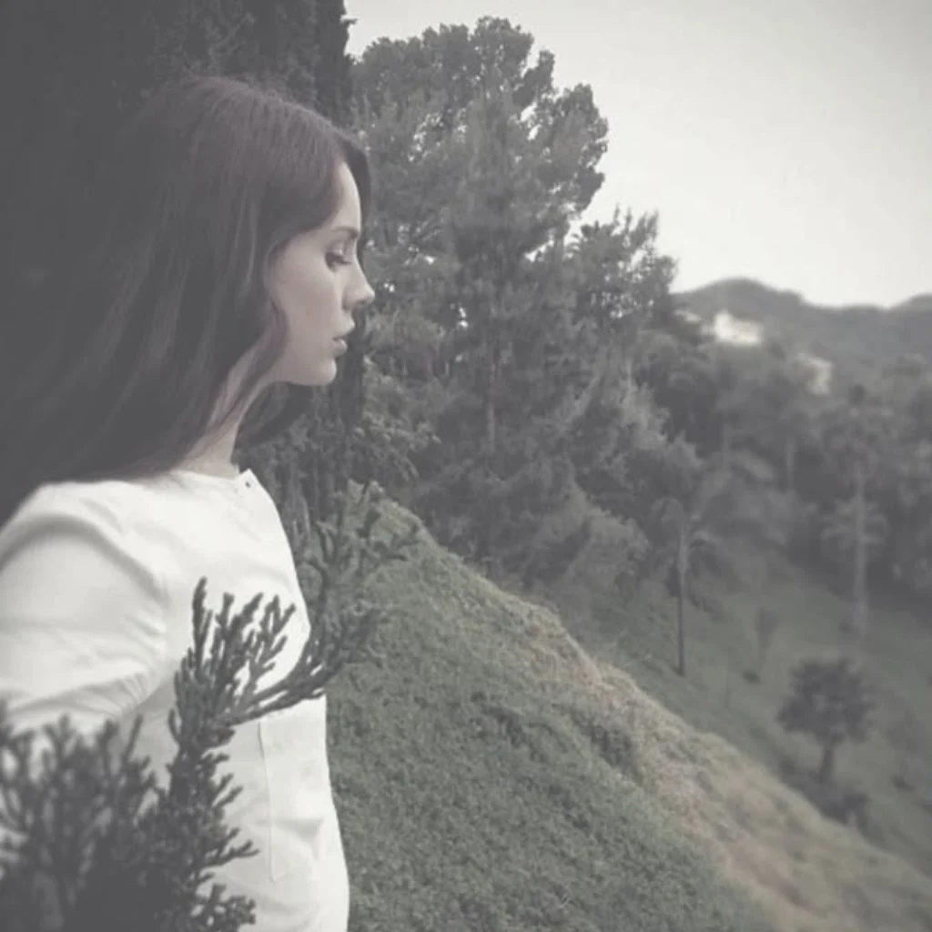 Profil