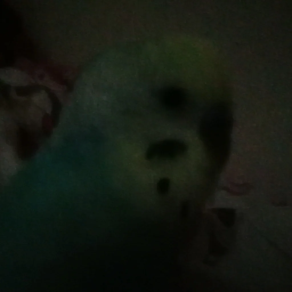 Profil