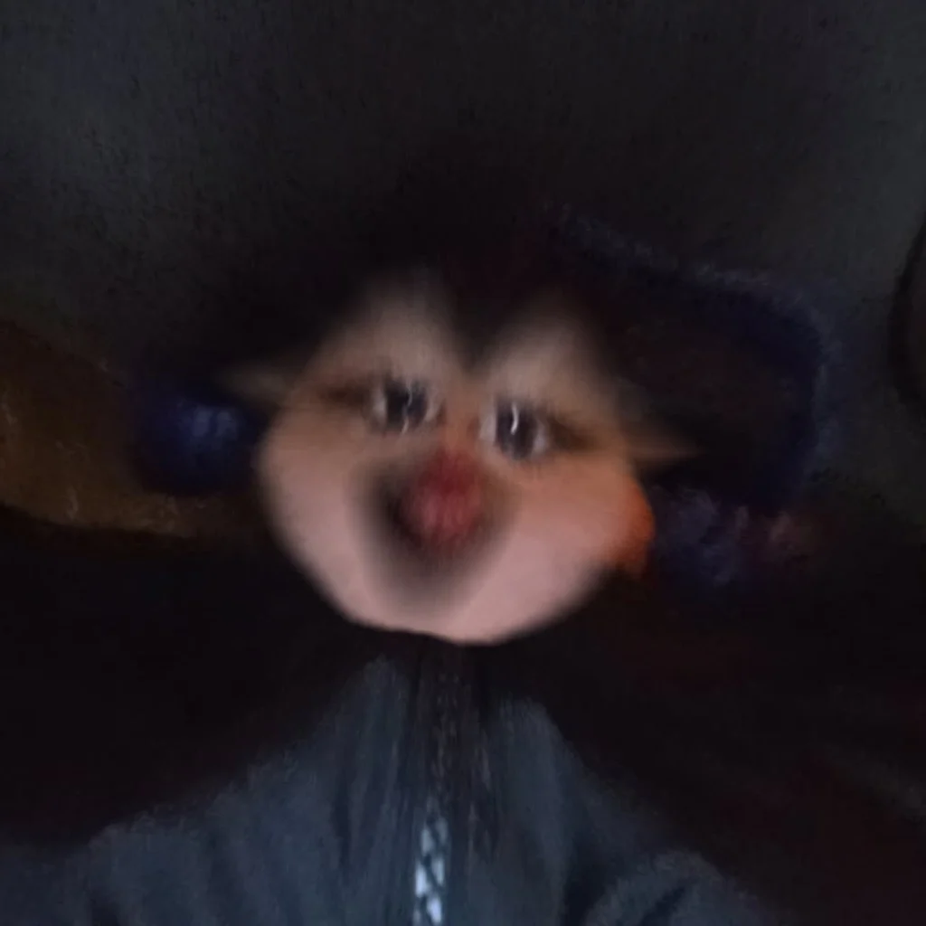 Profil
