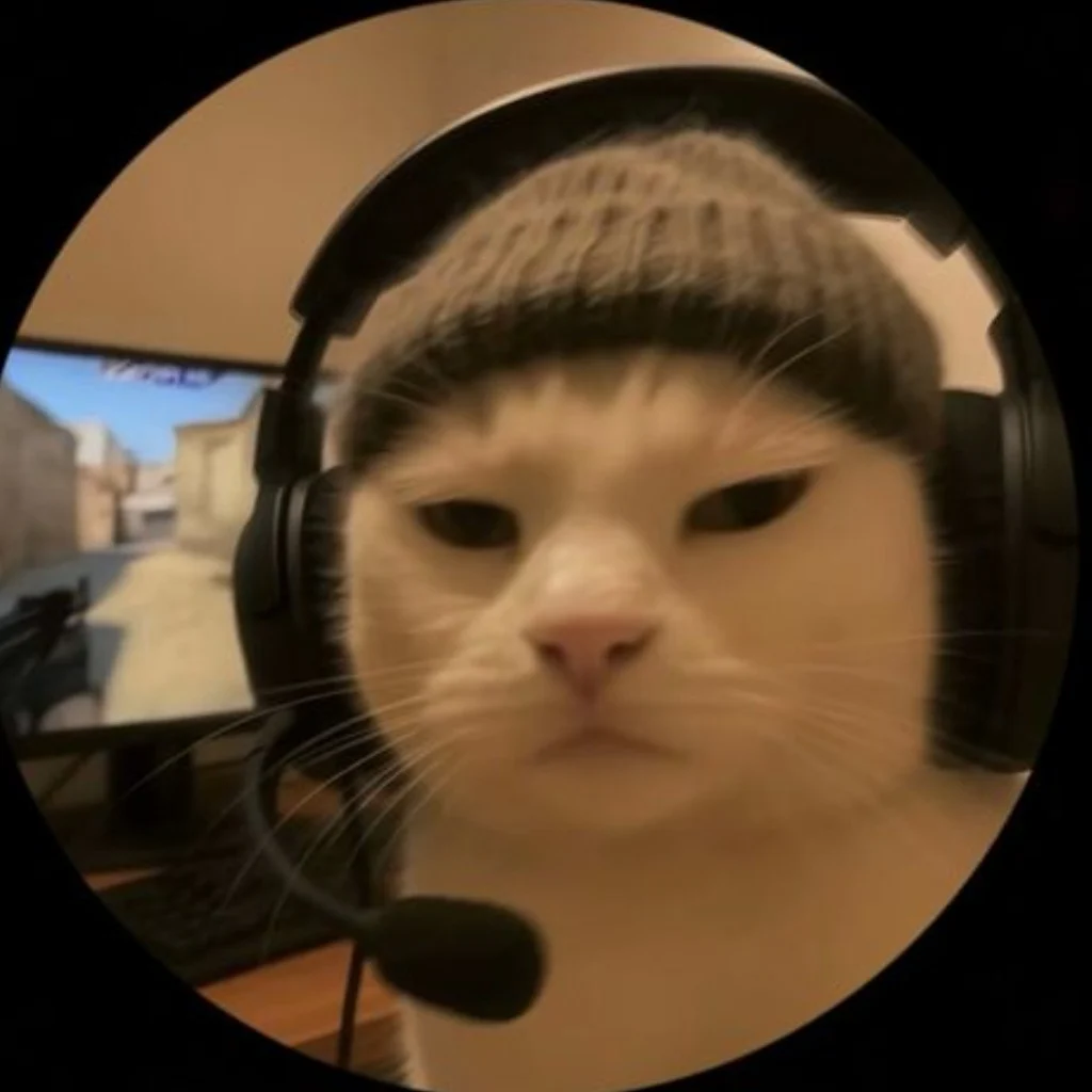 Profil