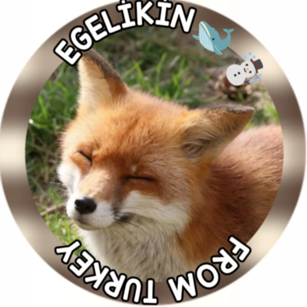 Profil