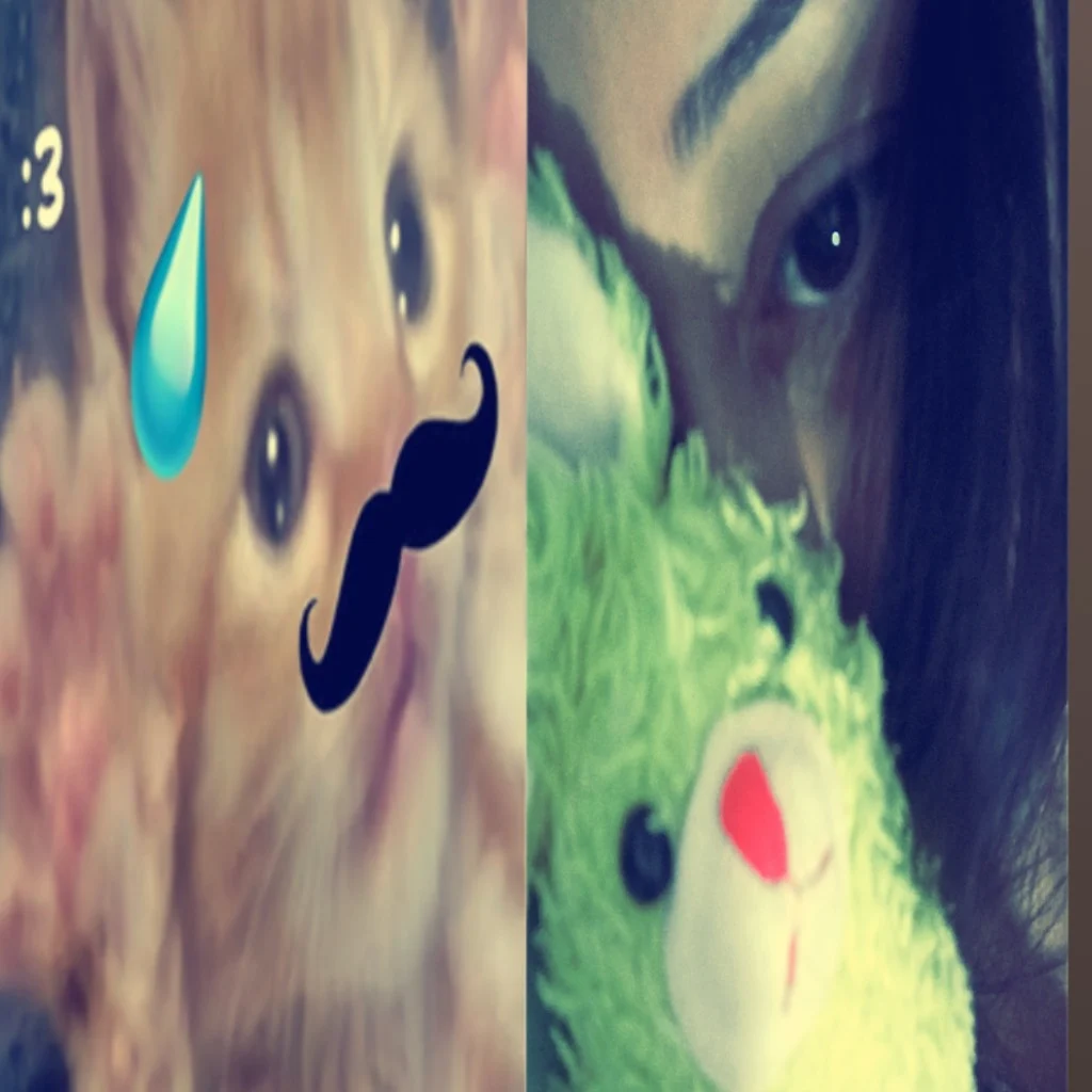 Profil