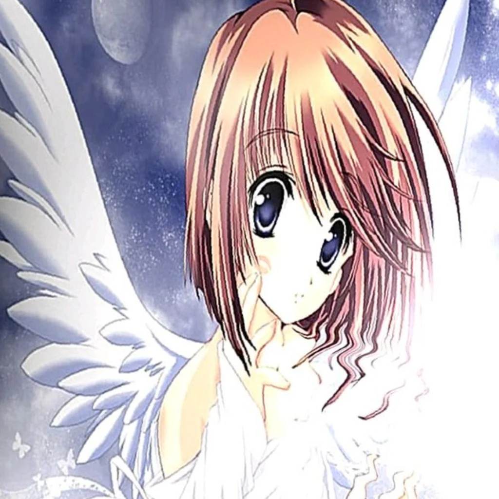 Profil