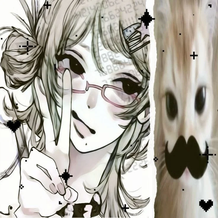 Profil