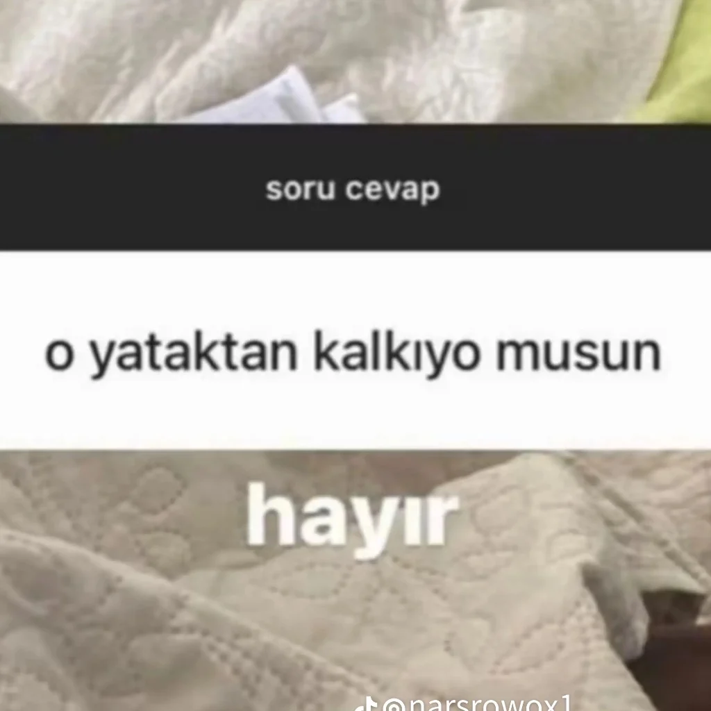 Profil