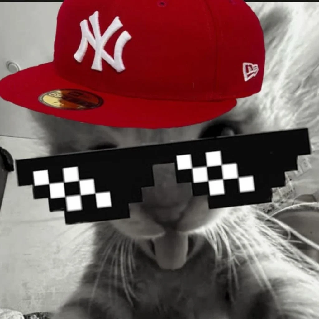 Profil