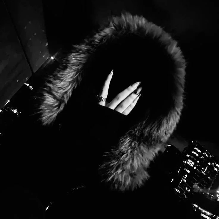 Profil