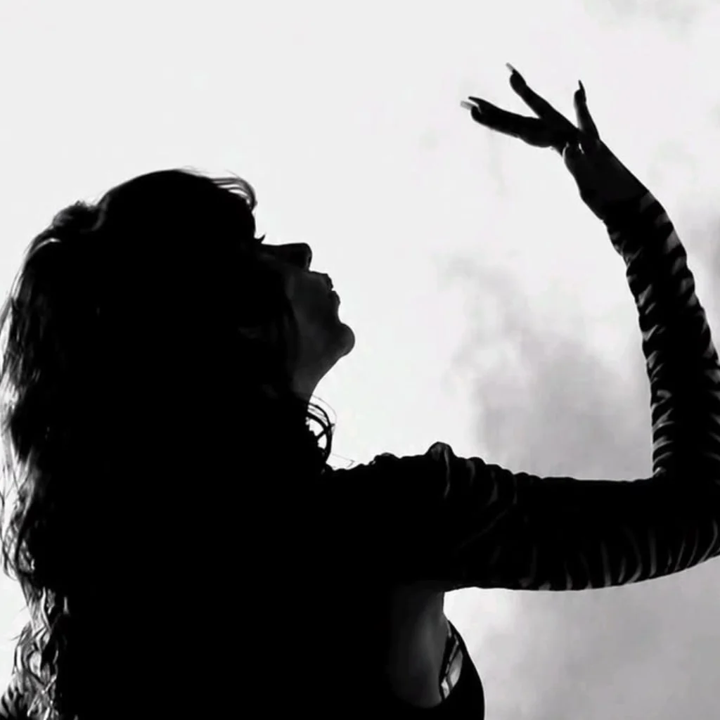 Profil