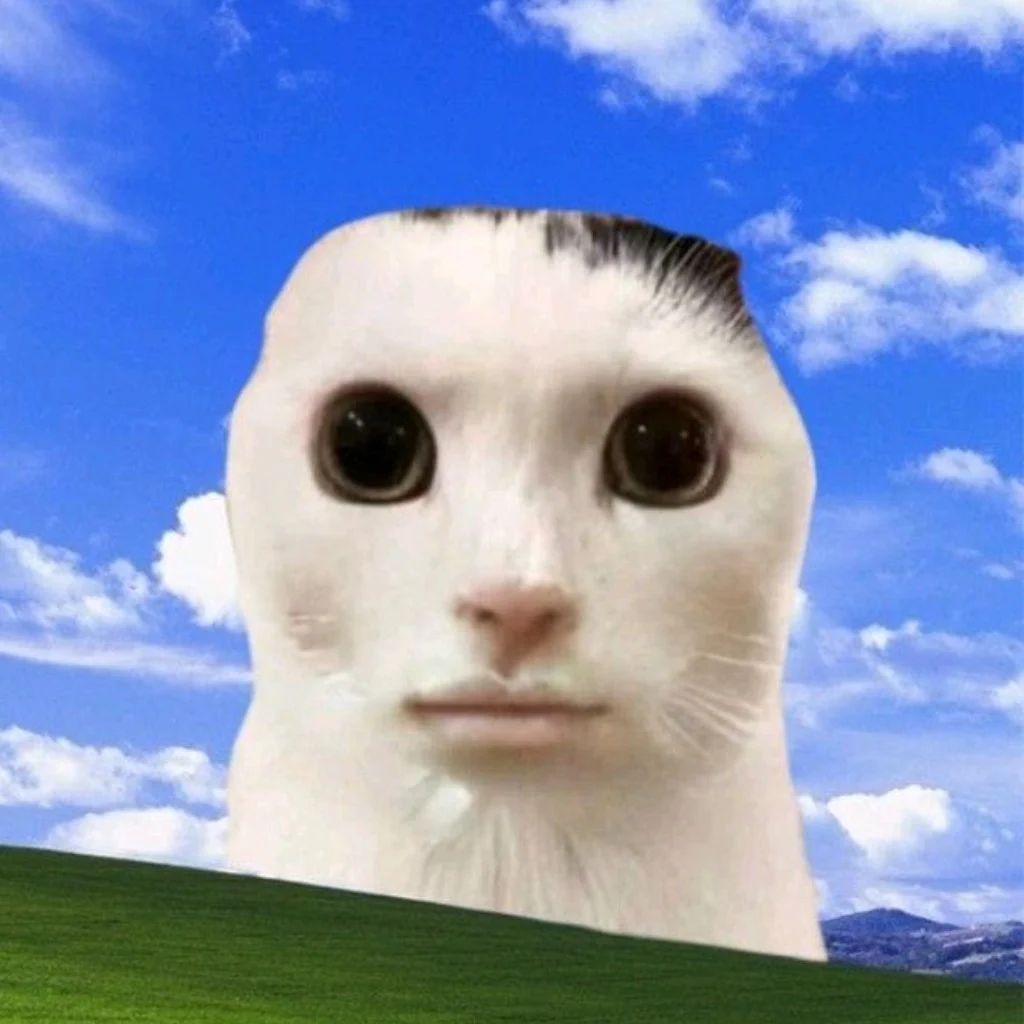 Profil