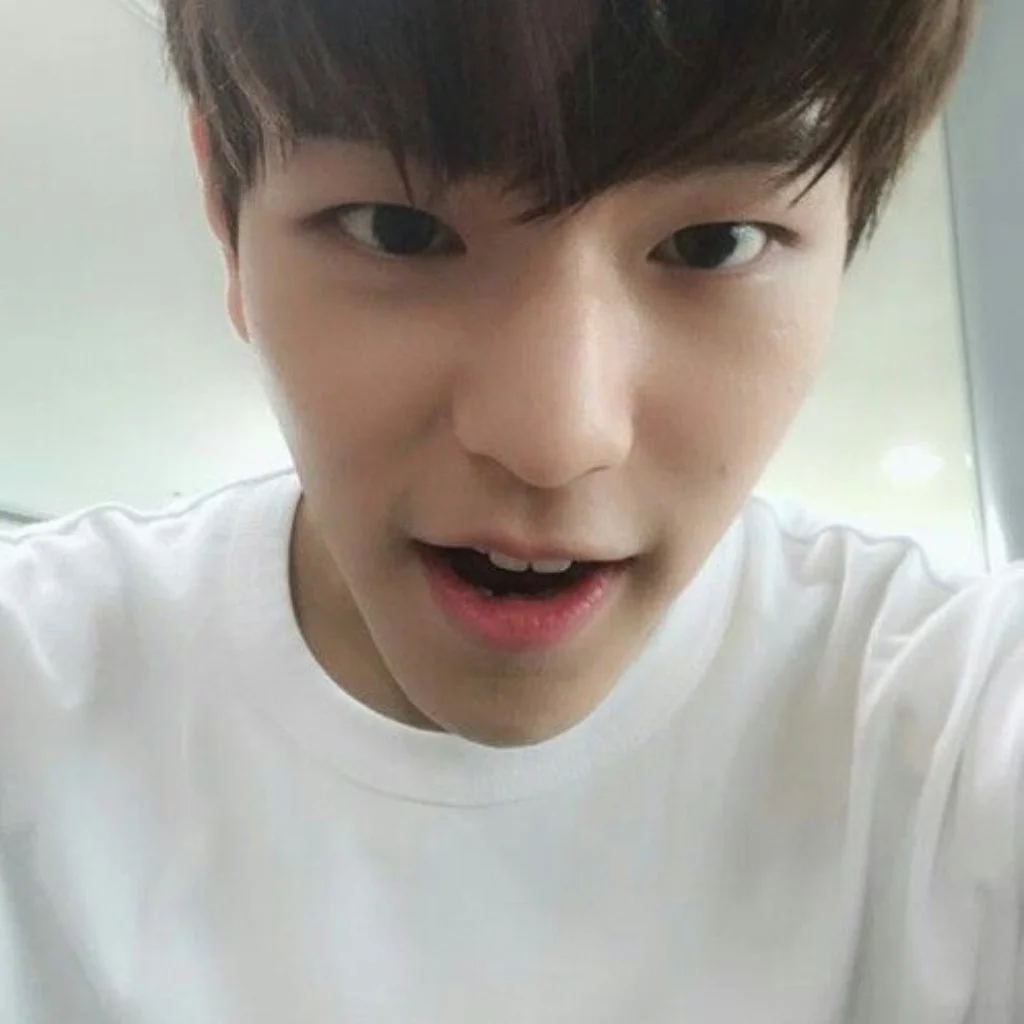 Profil