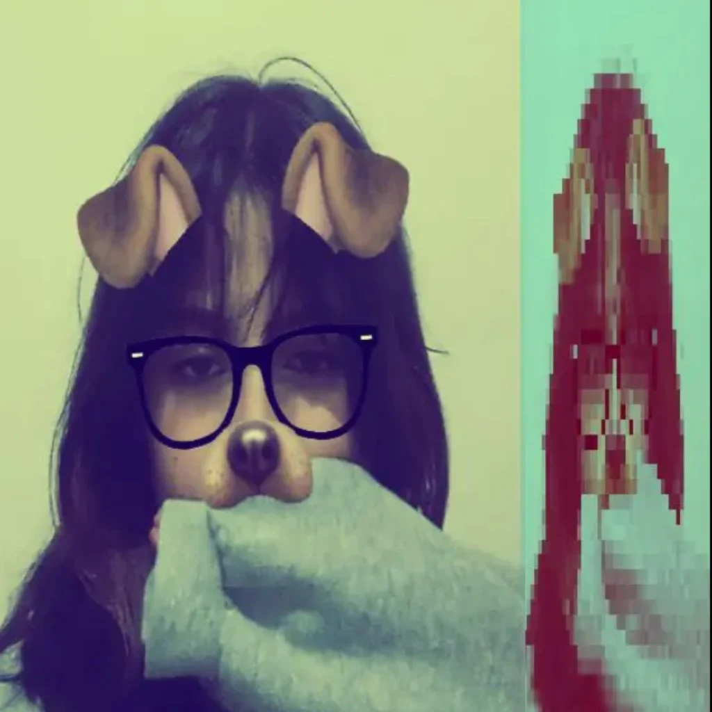 Profil