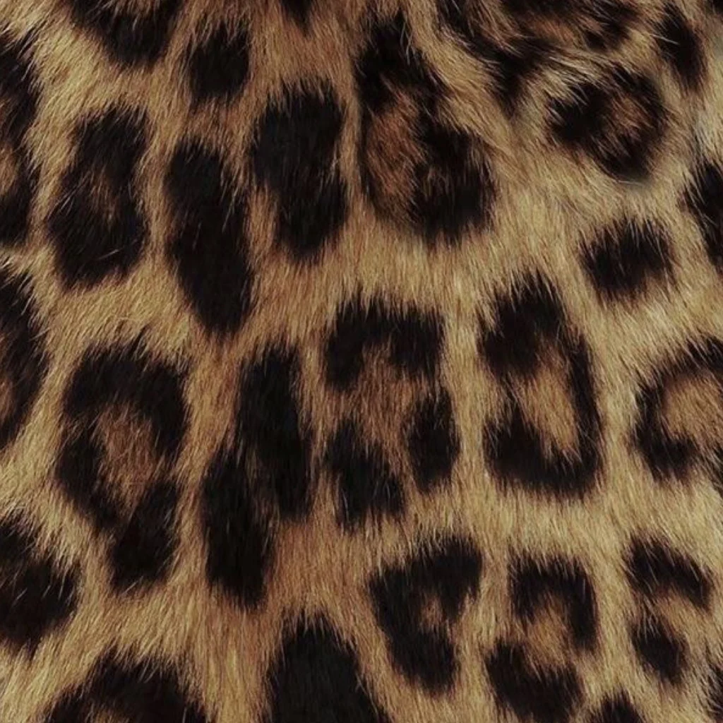 Profil