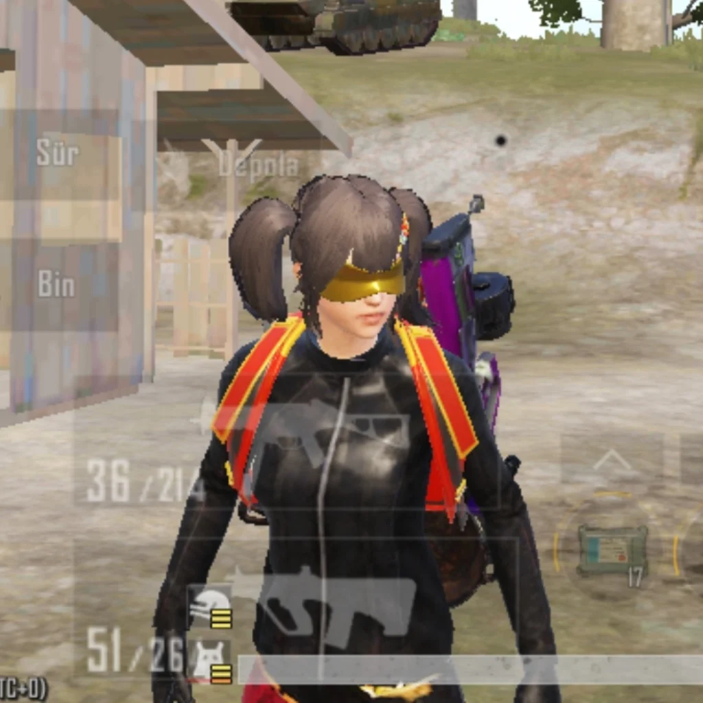 Profil