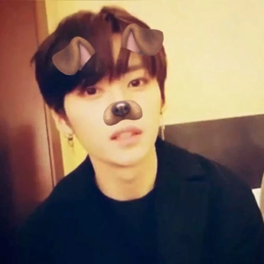 Profil