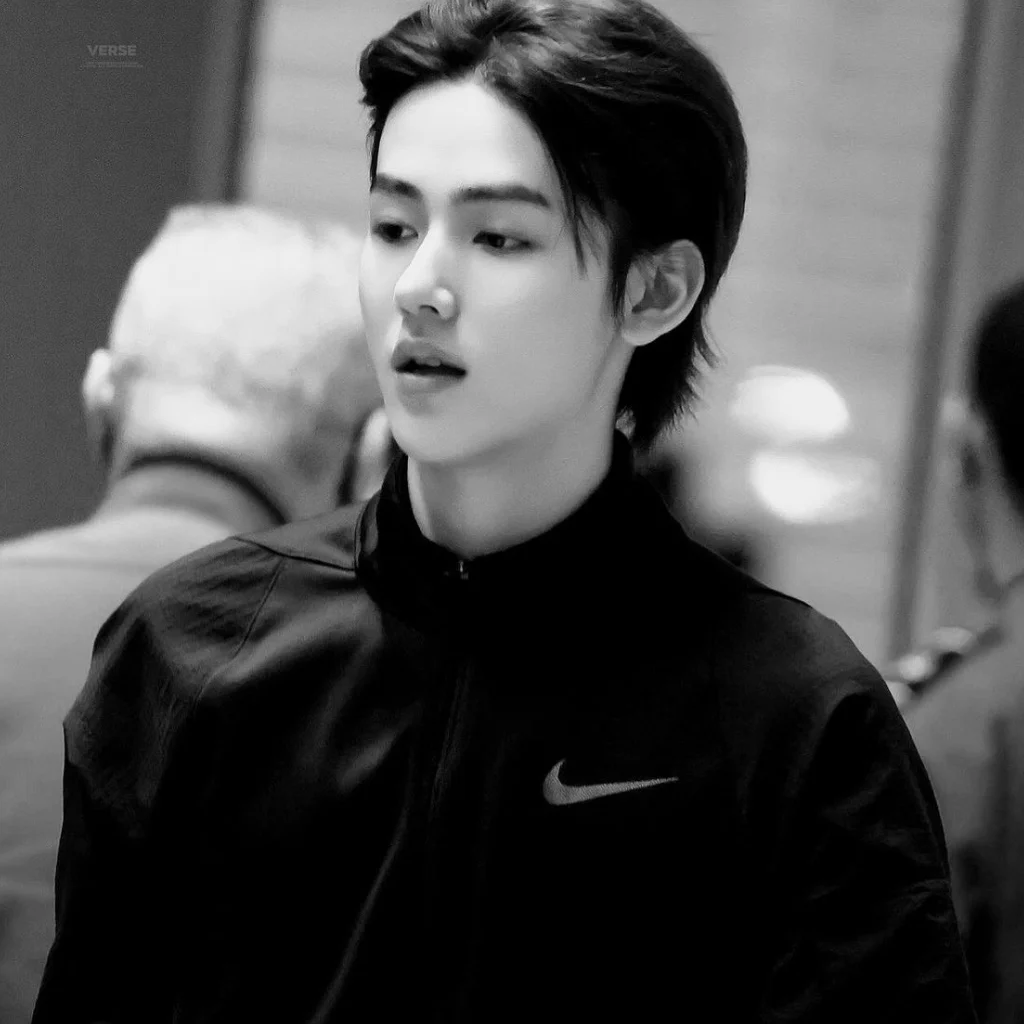 Profil