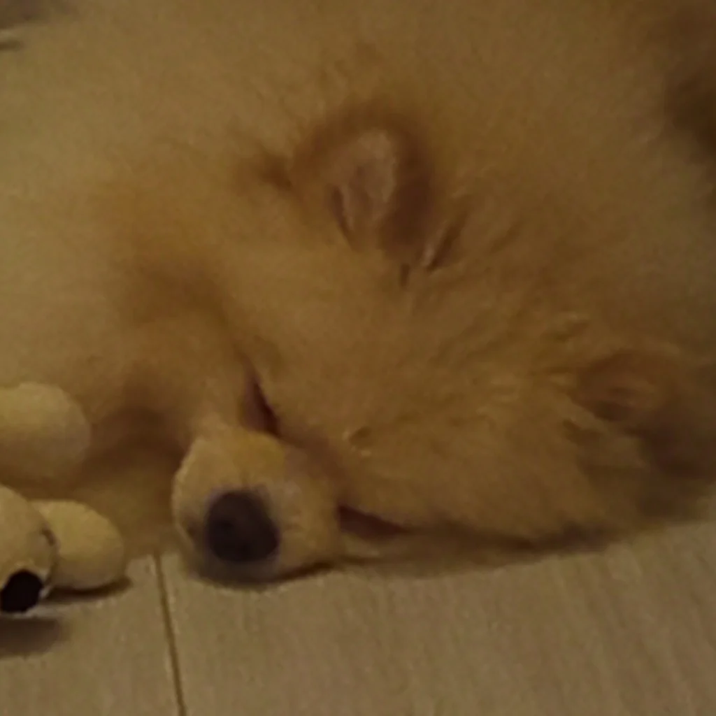 Profil