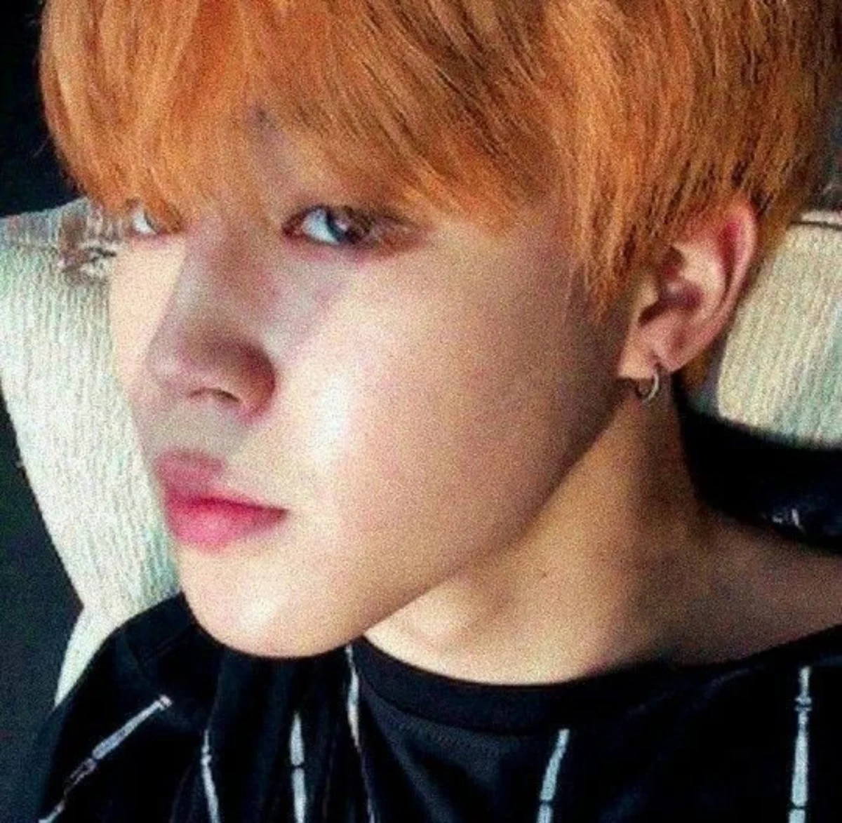 Profil