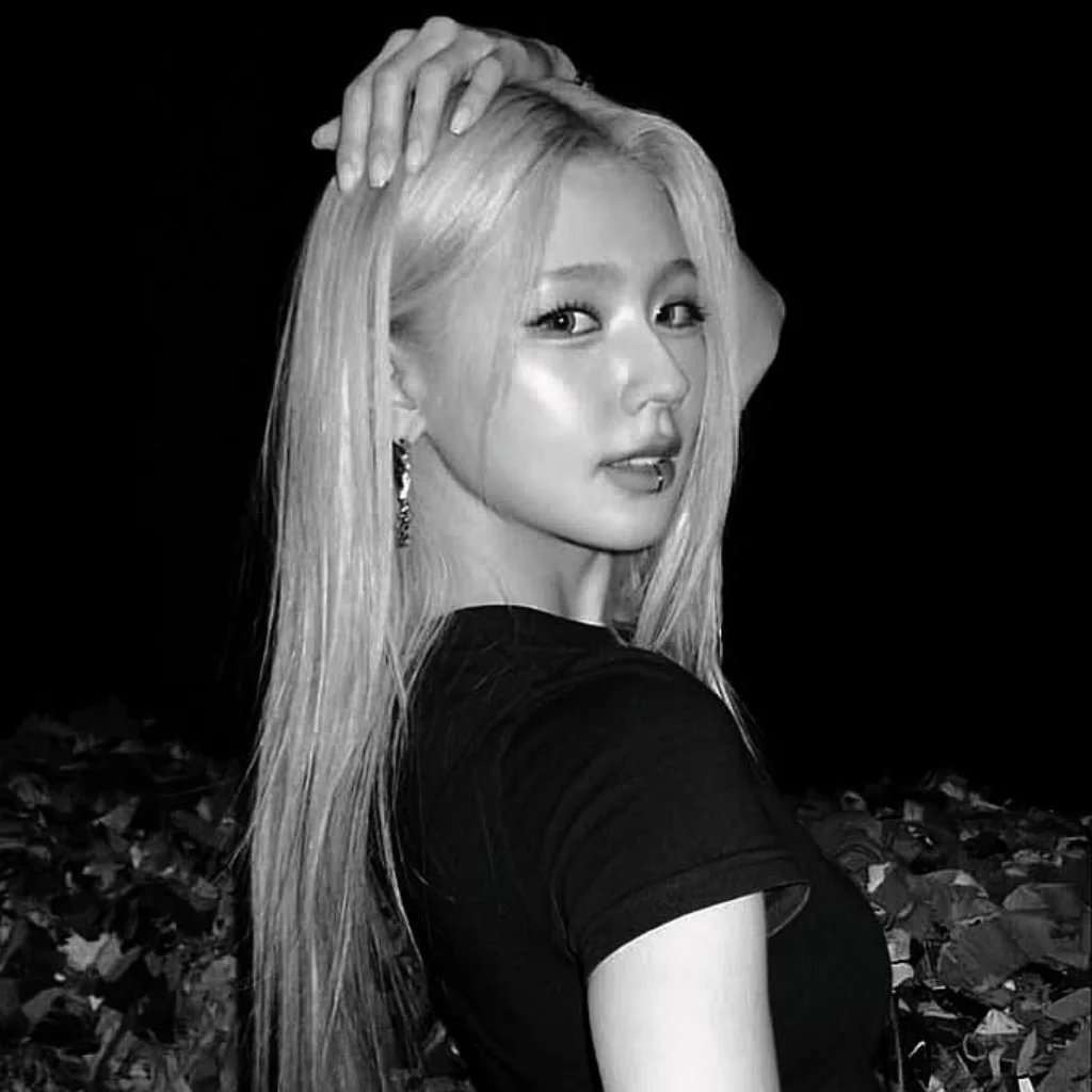 Profil