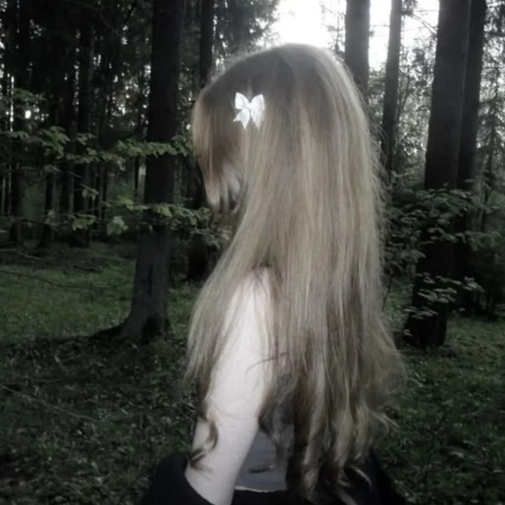 Profil