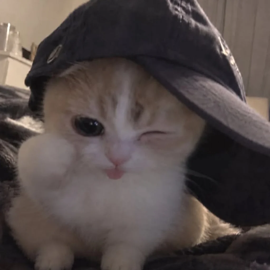 Profil