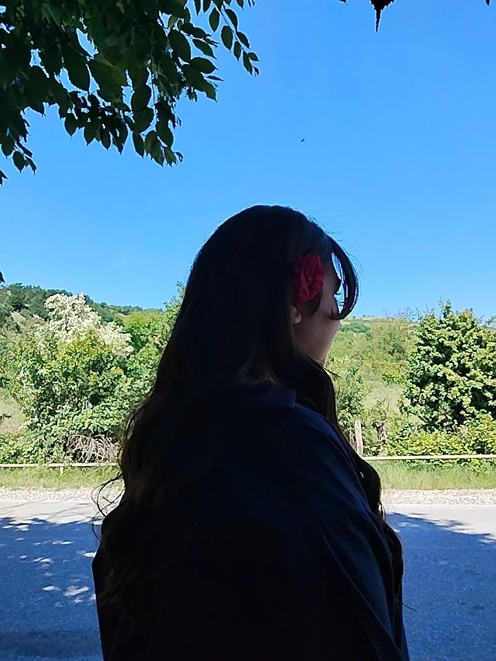 Profil