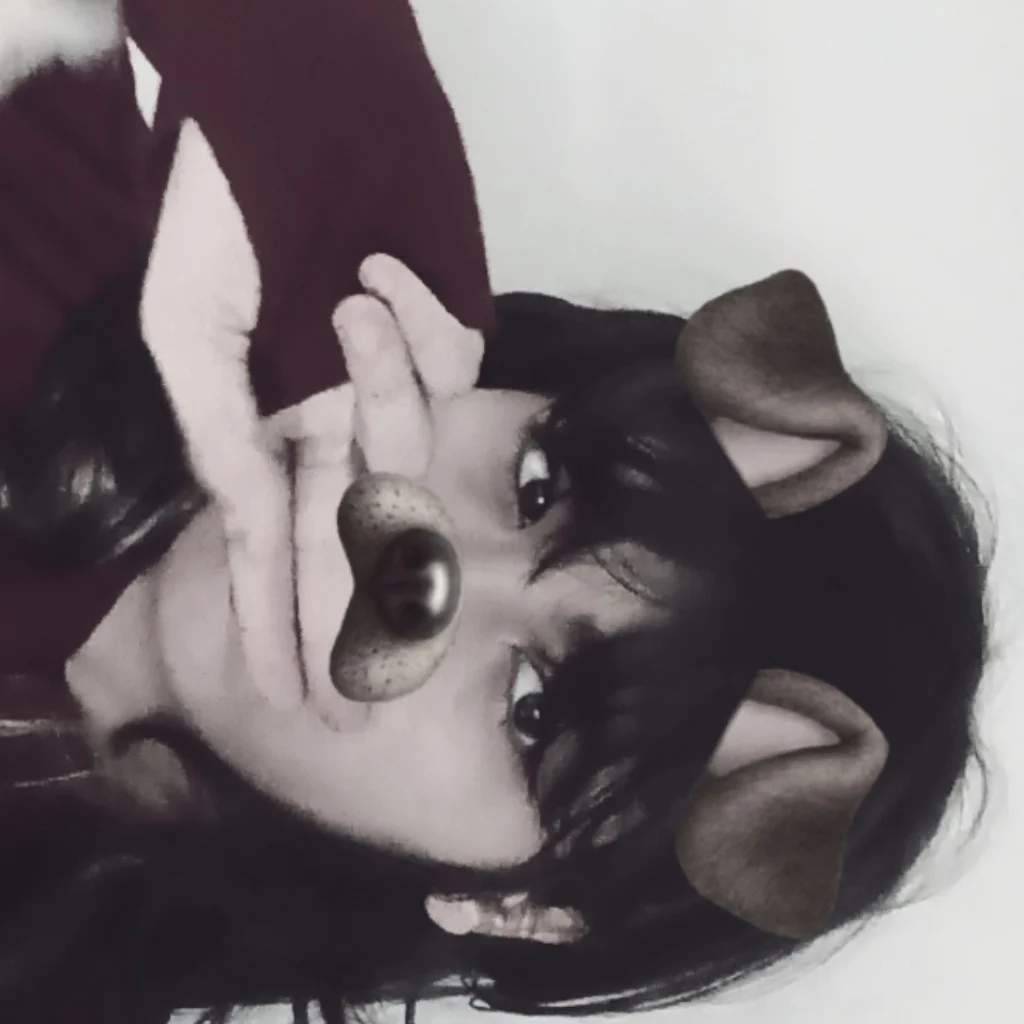 Profil