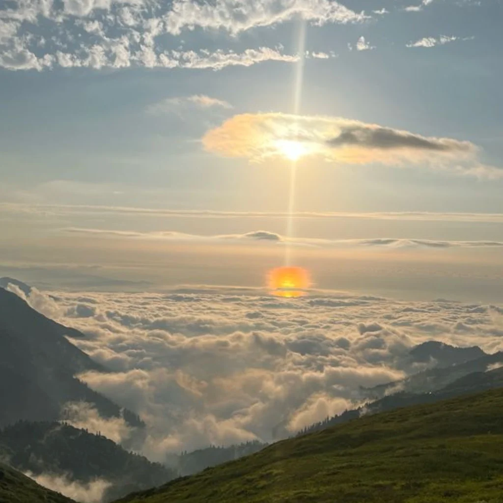 Profil