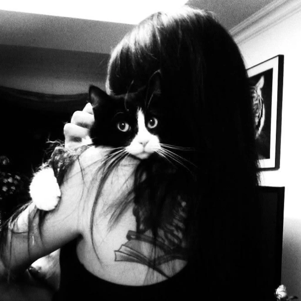 Profil