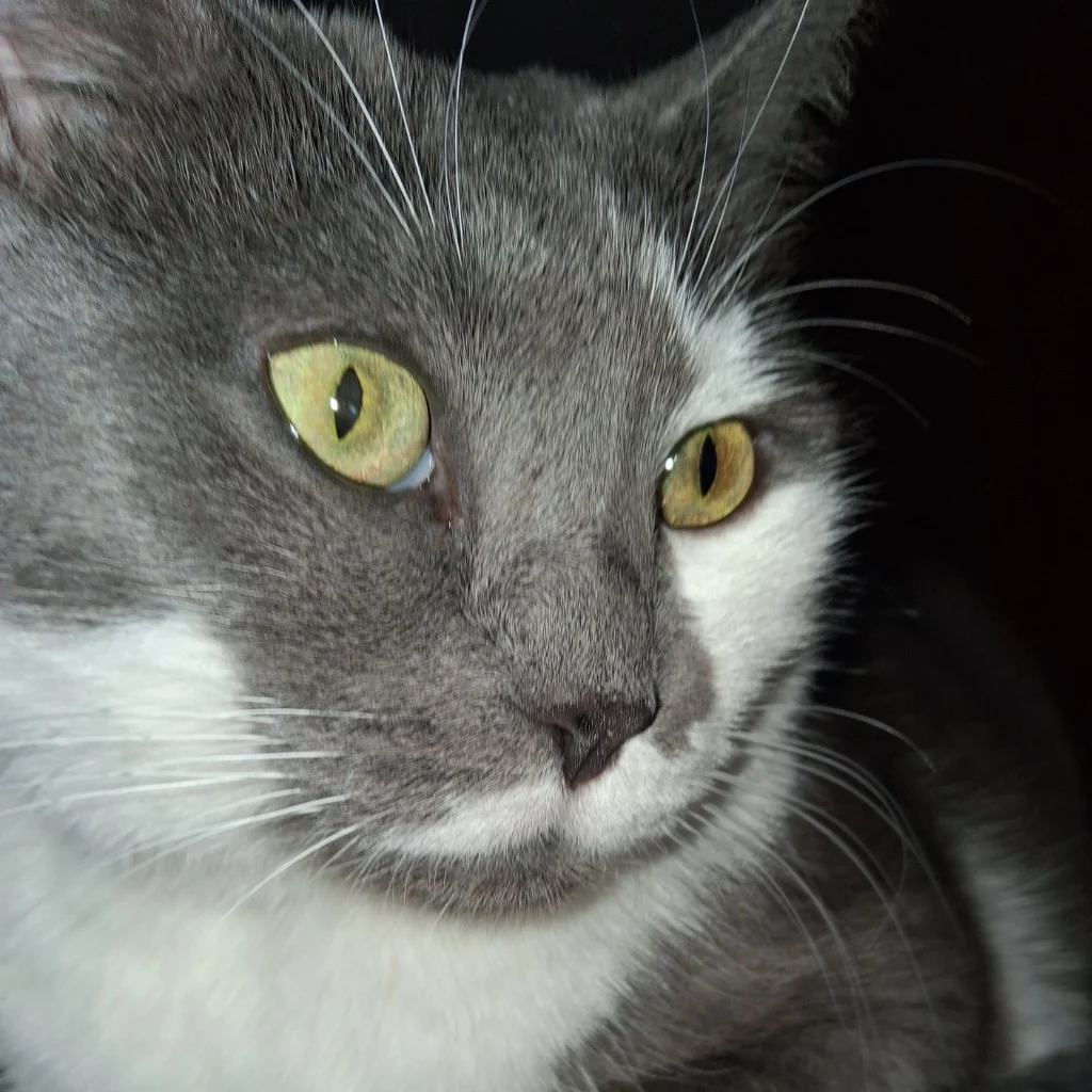 Profil