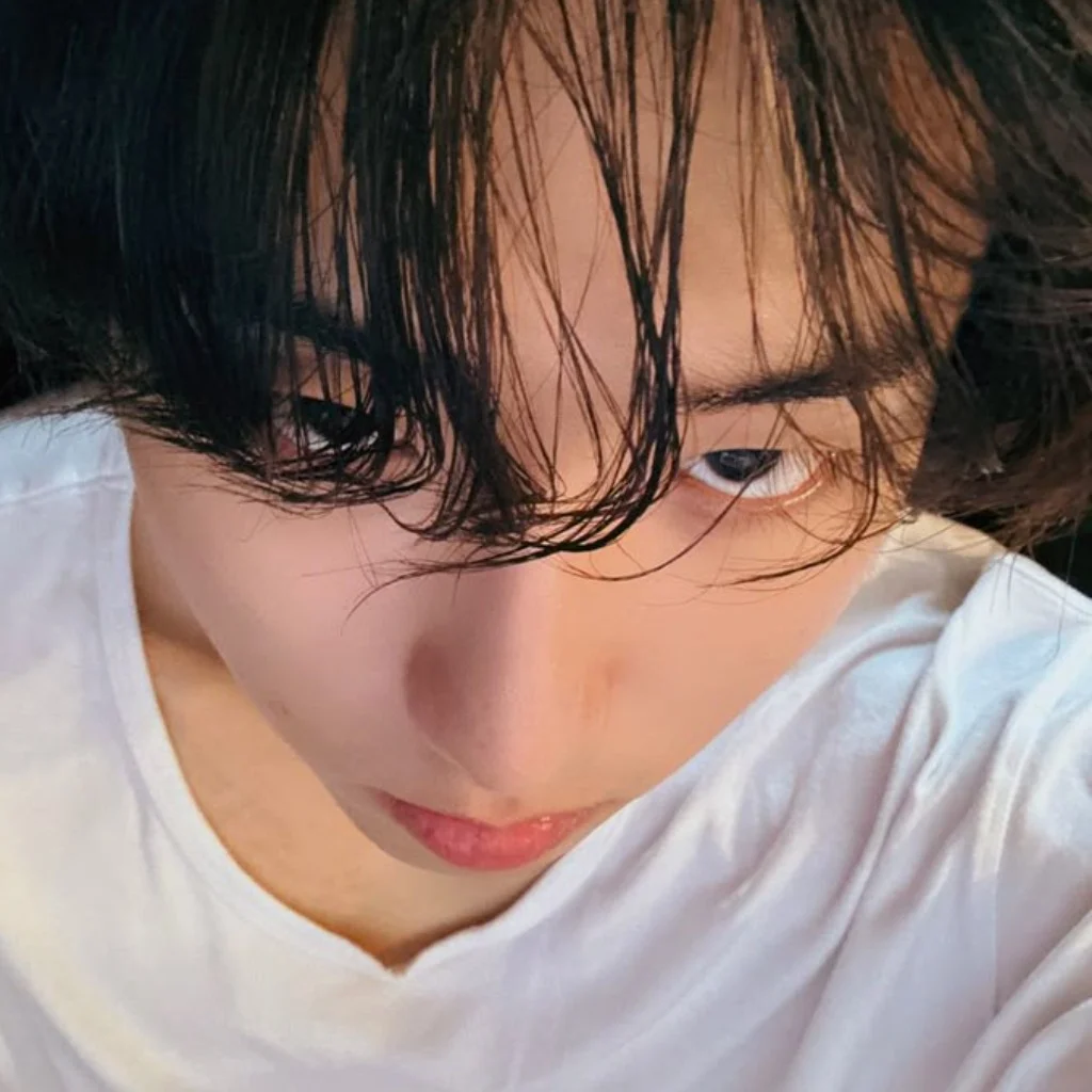 Profil