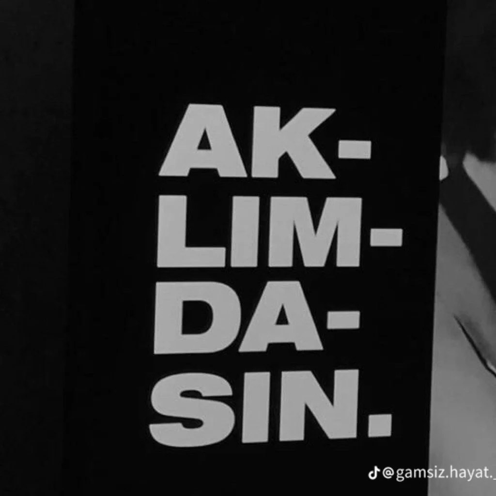 Profil