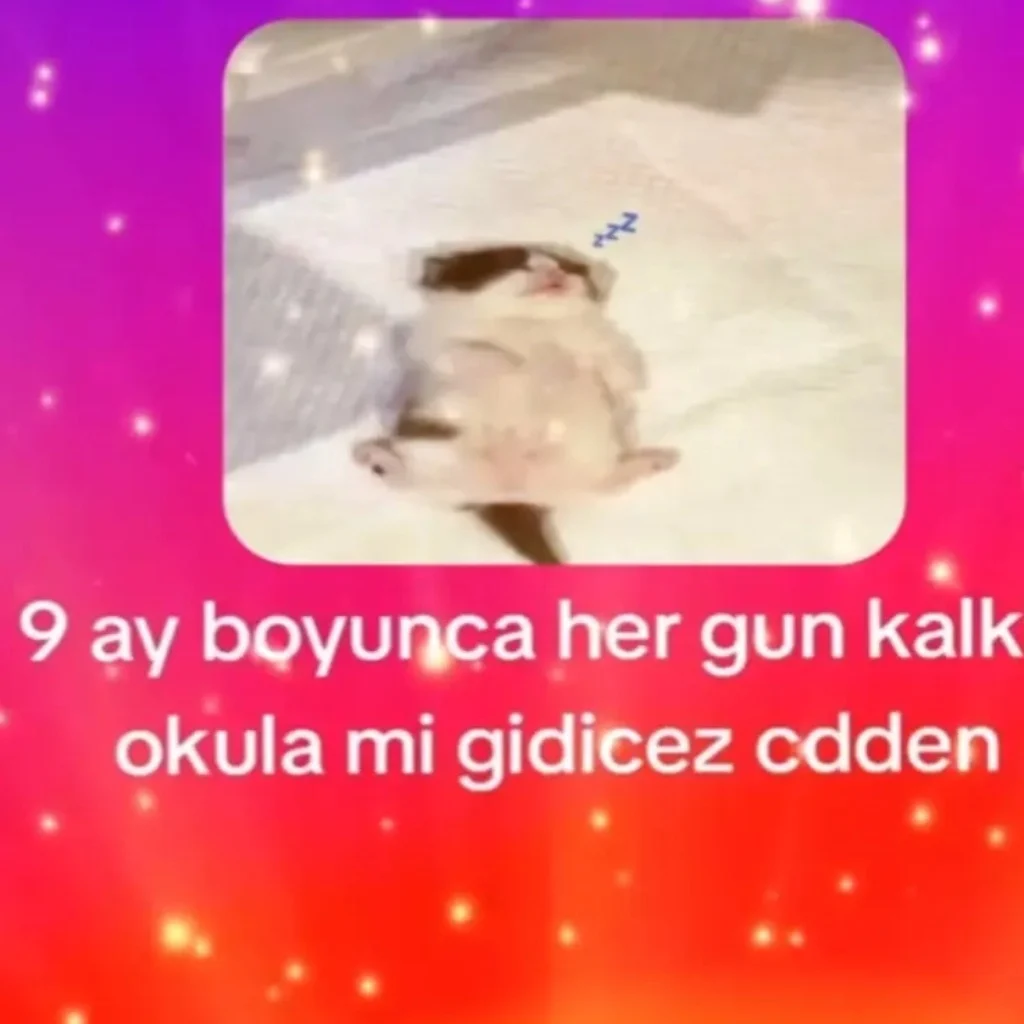 Profil