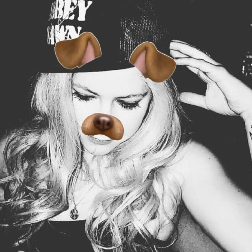 Profil