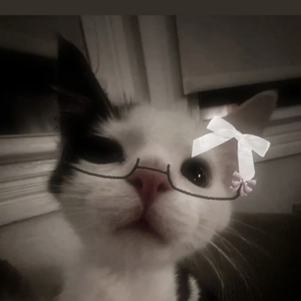Profil
