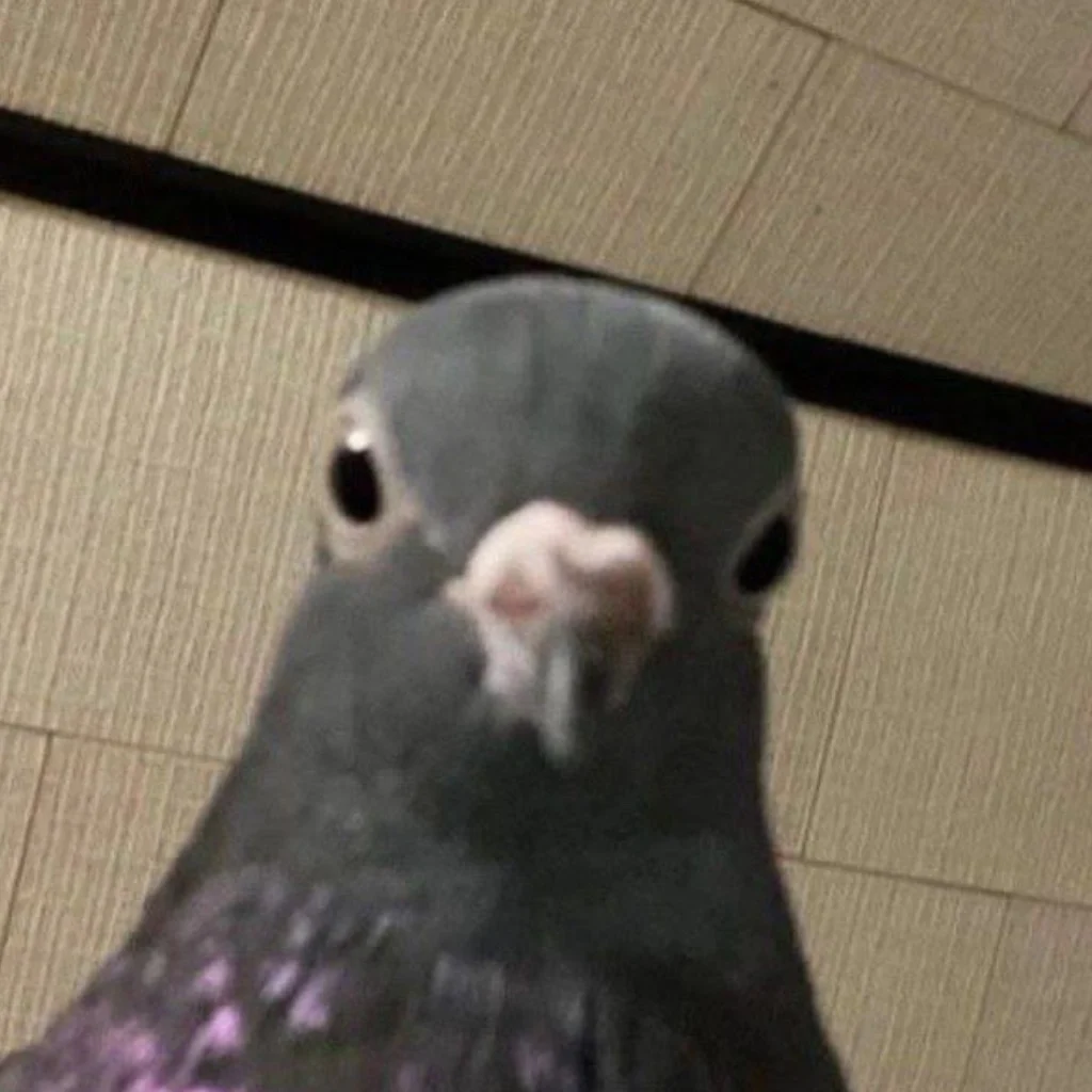 Profil
