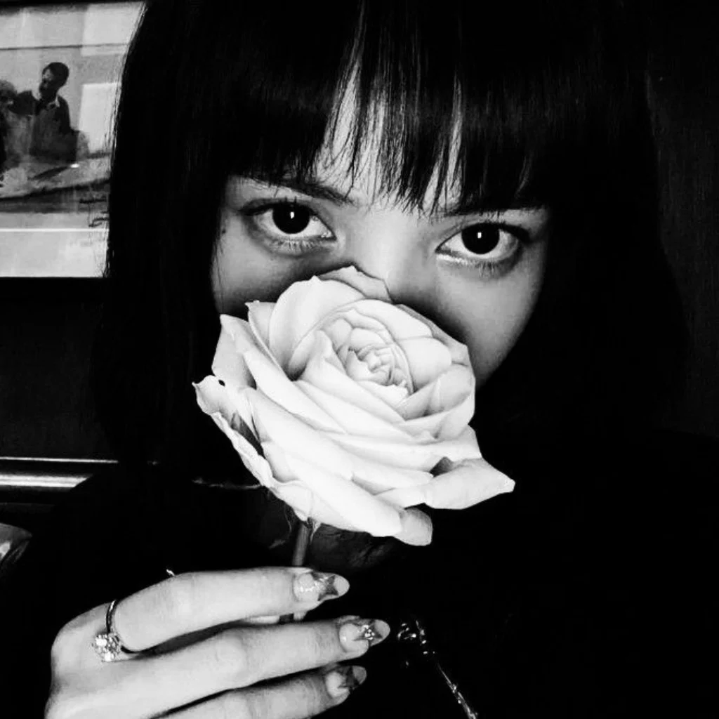 Profil