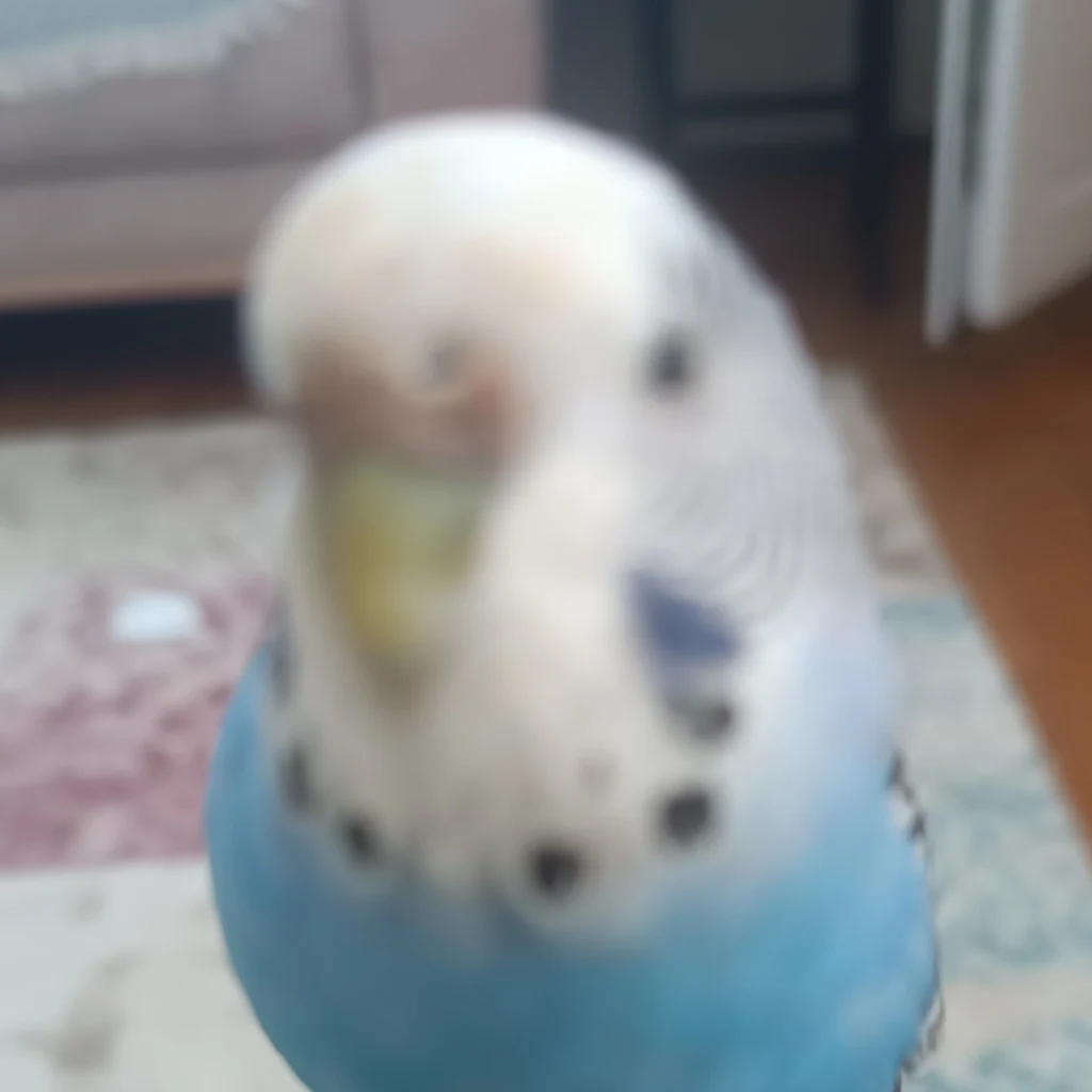Profil